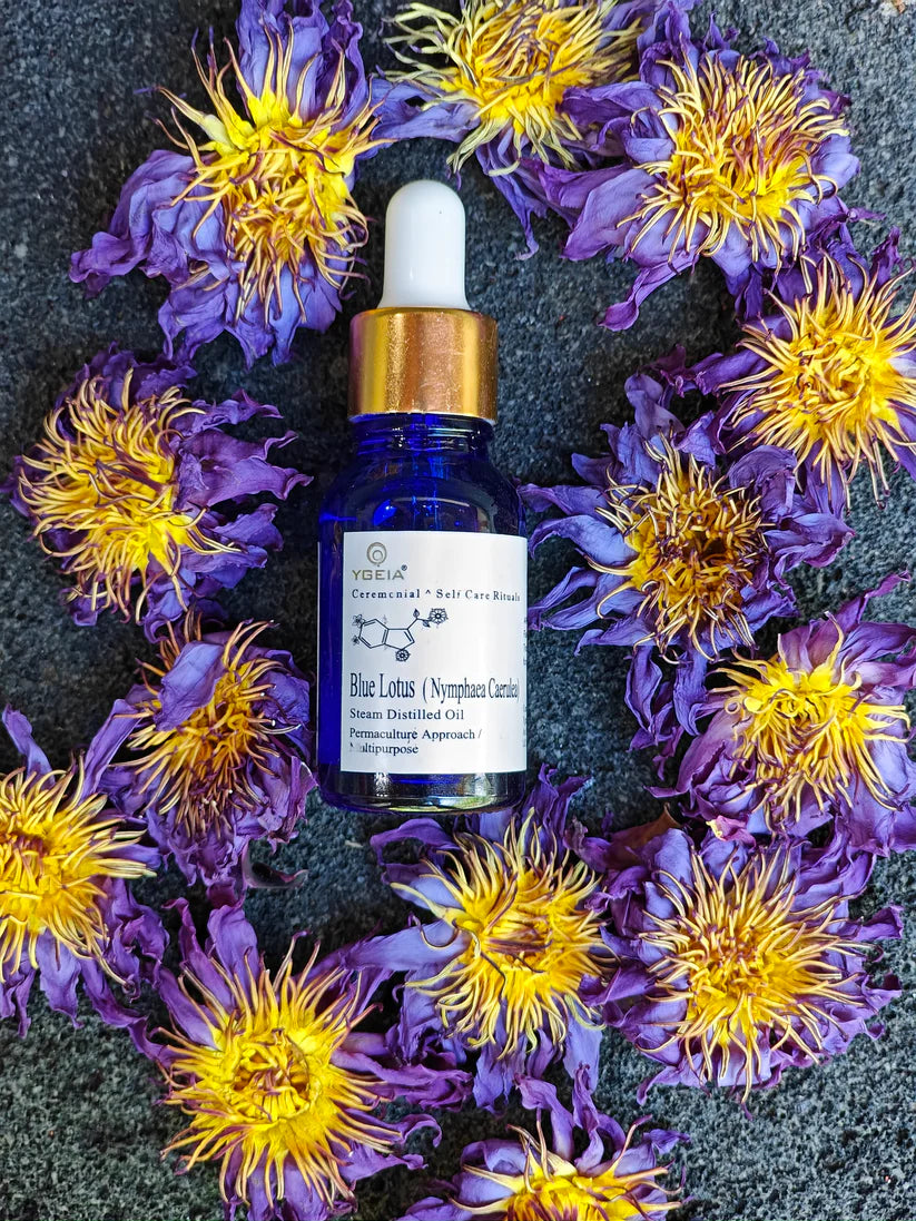Huile de Lotus Bleu / Blue Lotus Steam Distilled Oil