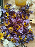 Infusion de Lotus Bleu / Blue Lotus Flowers