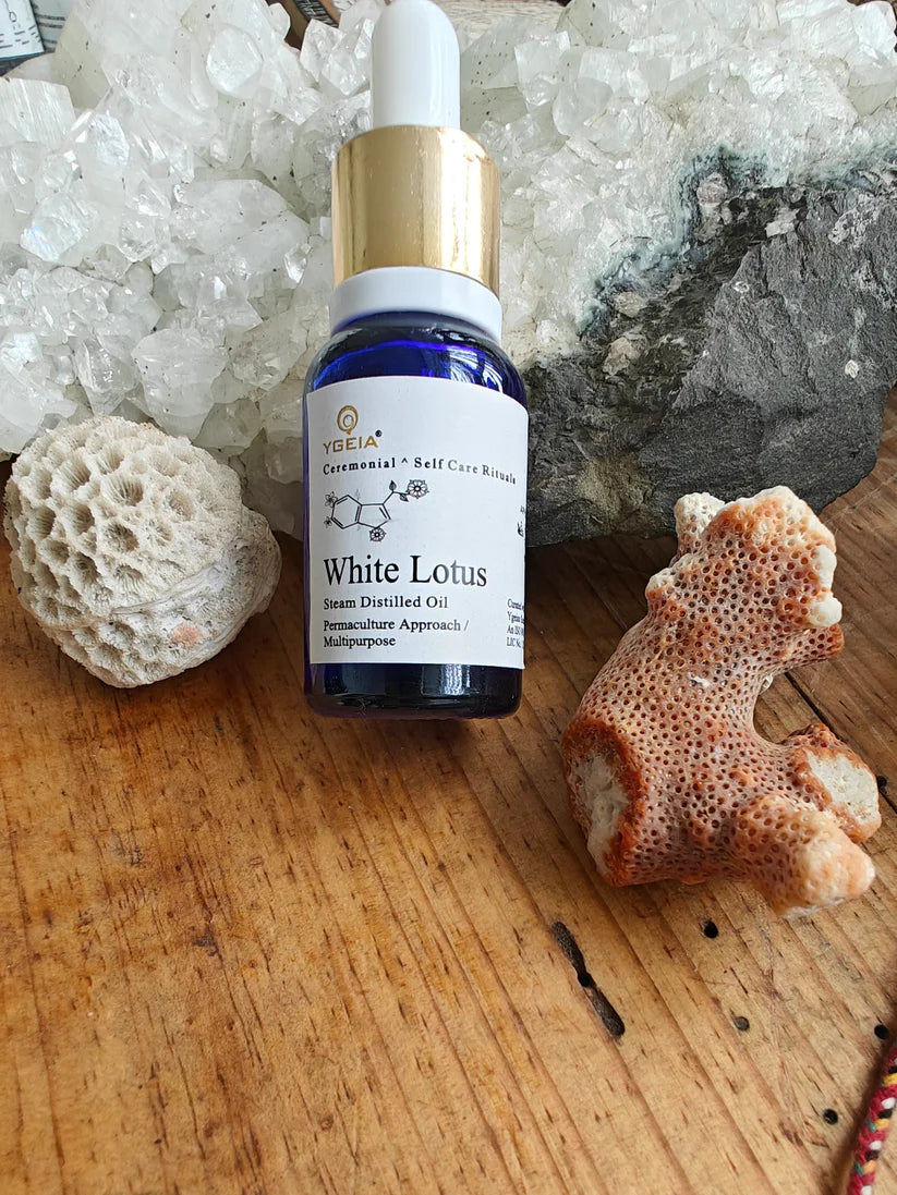 Huile de Lotus Blanc / White Lotus Steam Distilled Oil